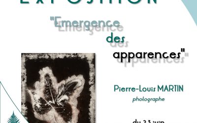EXPOSITION  »ÉMERGENCE DES APPARENCES«  PAR PIERRE-LOUIS MARTIN – TERMINÉ
