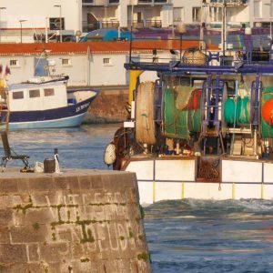 EL209 (Pêcheurs versus pêcheurs / Édition Fête de la mer 2025)