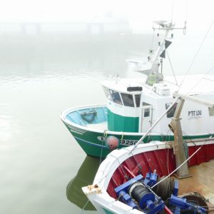 EL212 (P'tit Lou / Édition Fête de la mer 2025)