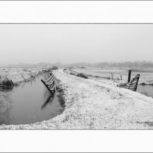 EL216 (Le marais enneigé)